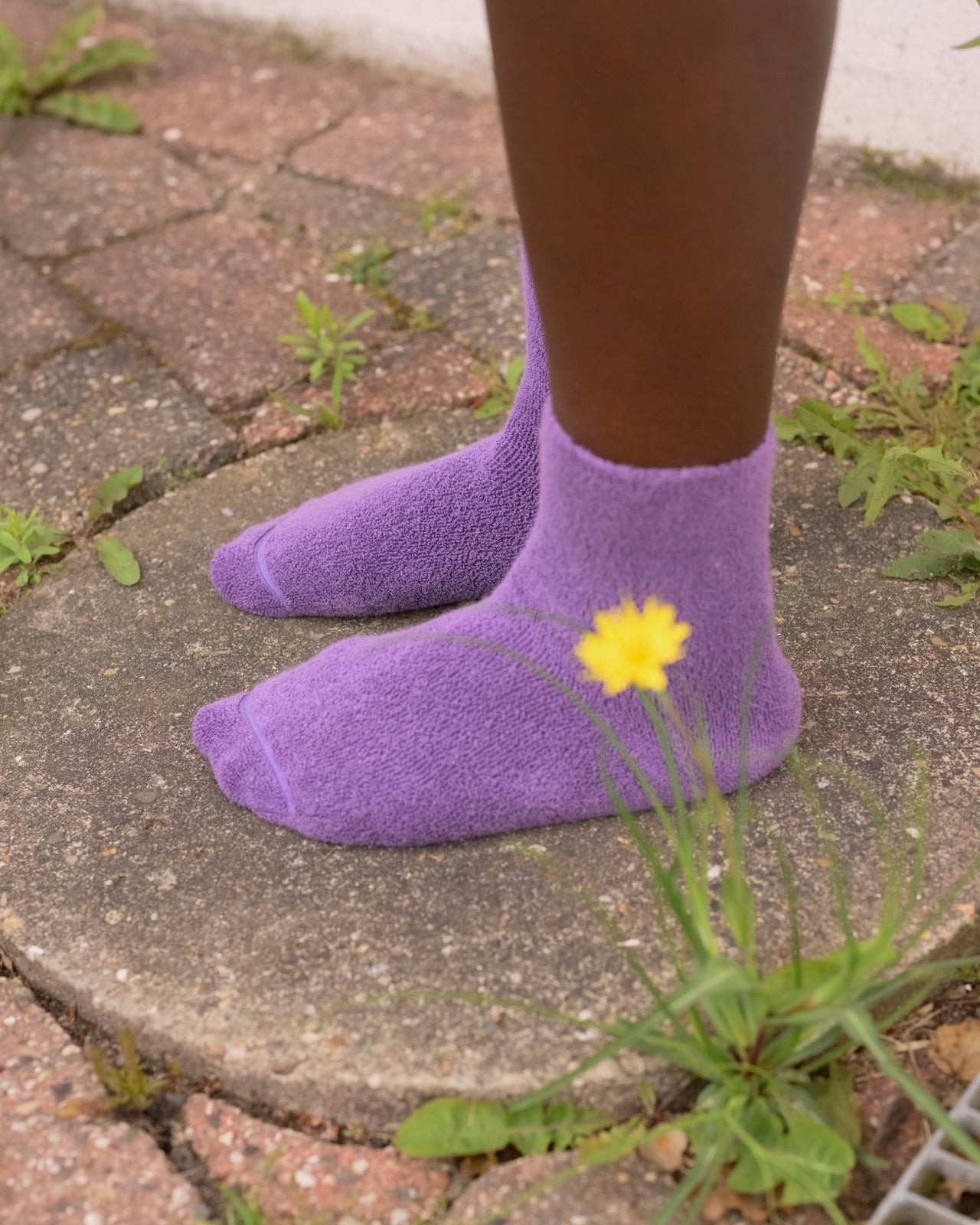 Buckle Overankle Socks - Organic Cotton - Poa Purple