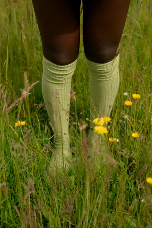 Overknee Socks - Organic Cotton Rib - Stroma Green