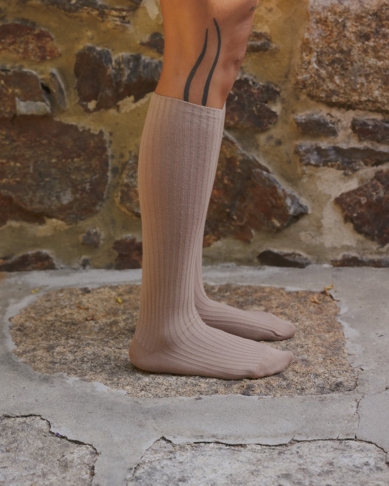 Rib Knee Socks - Organic Cotton Rib - Folia Brown