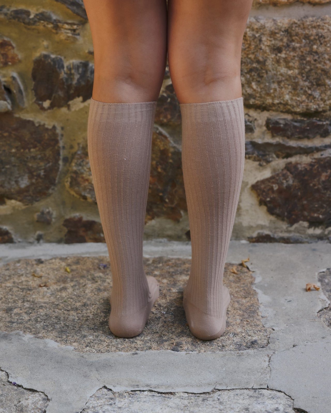 Rib Knee Socks - Organic Cotton Rib - Folia Brown