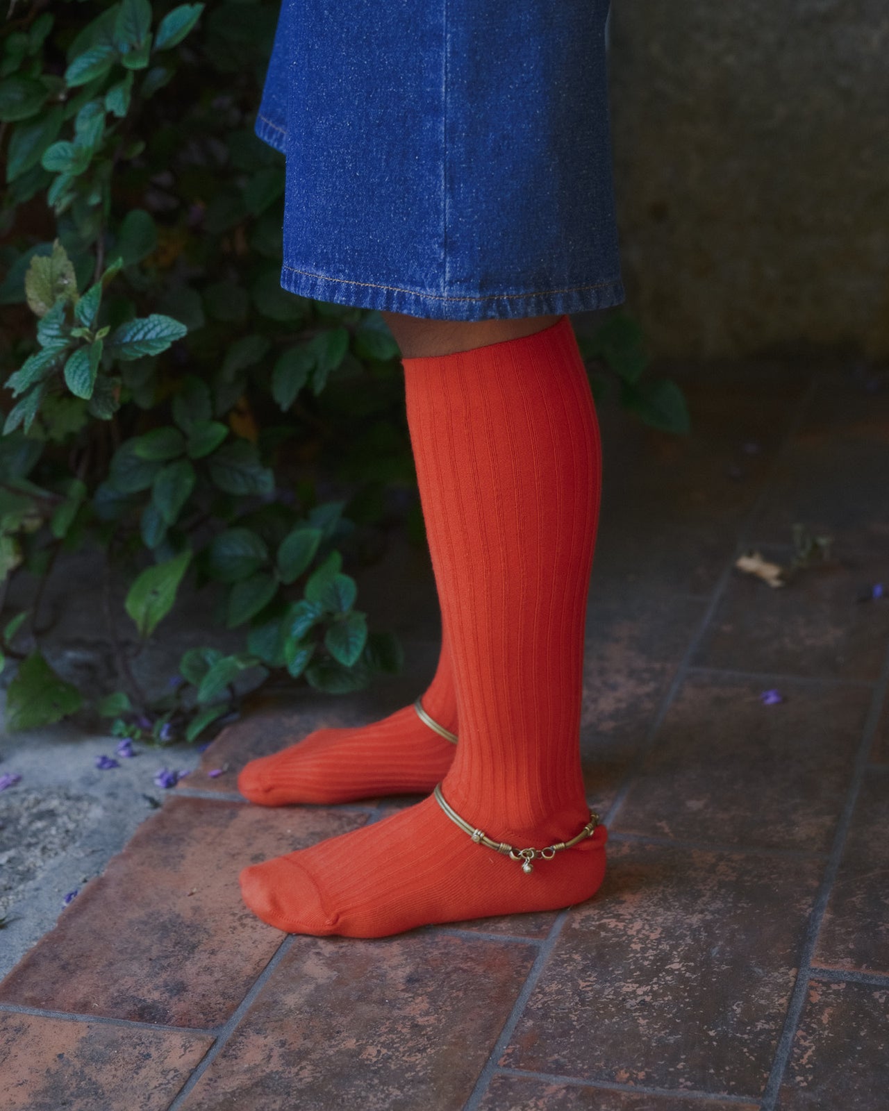 Rib Knee Socks - Organic Cotton Rib - Scopa Red