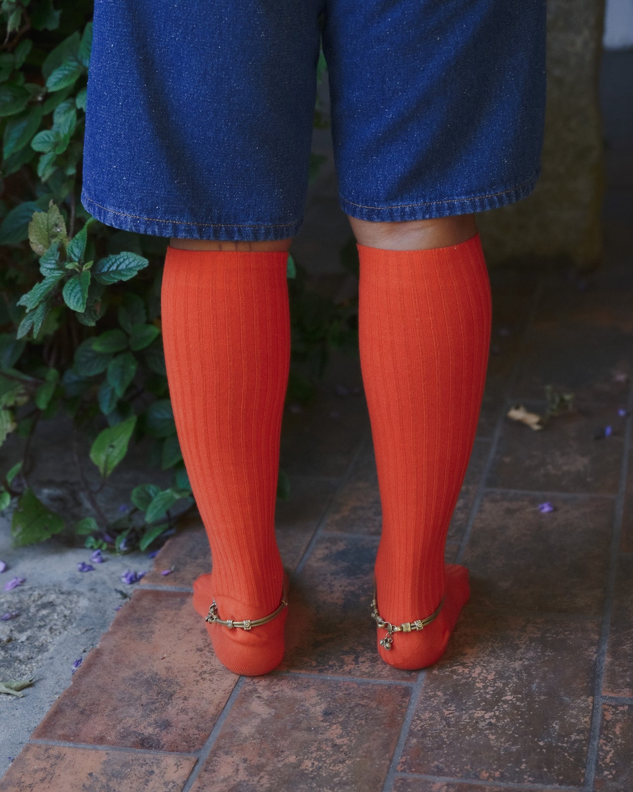 Rib Knee Socks - Organic Cotton Rib - Scopa Red