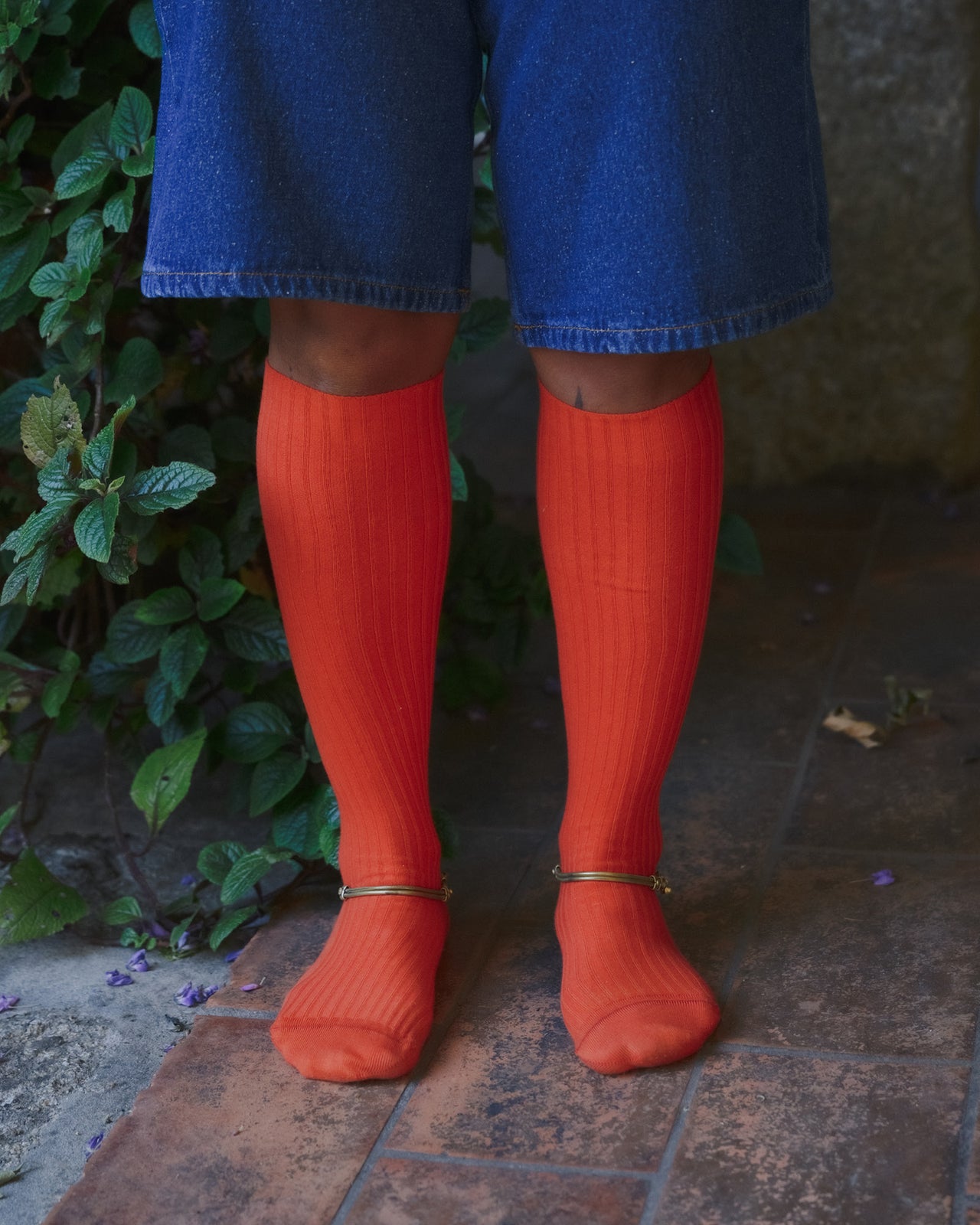 Rib Knee Socks - Organic Cotton Rib - Scopa Red