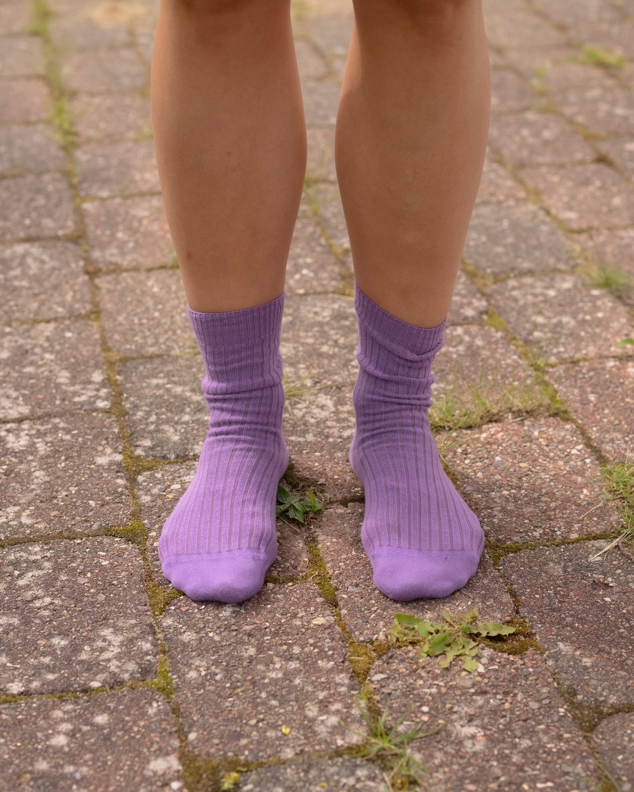 Rib Overankle Socks - Organic Cotton - Poa Purple