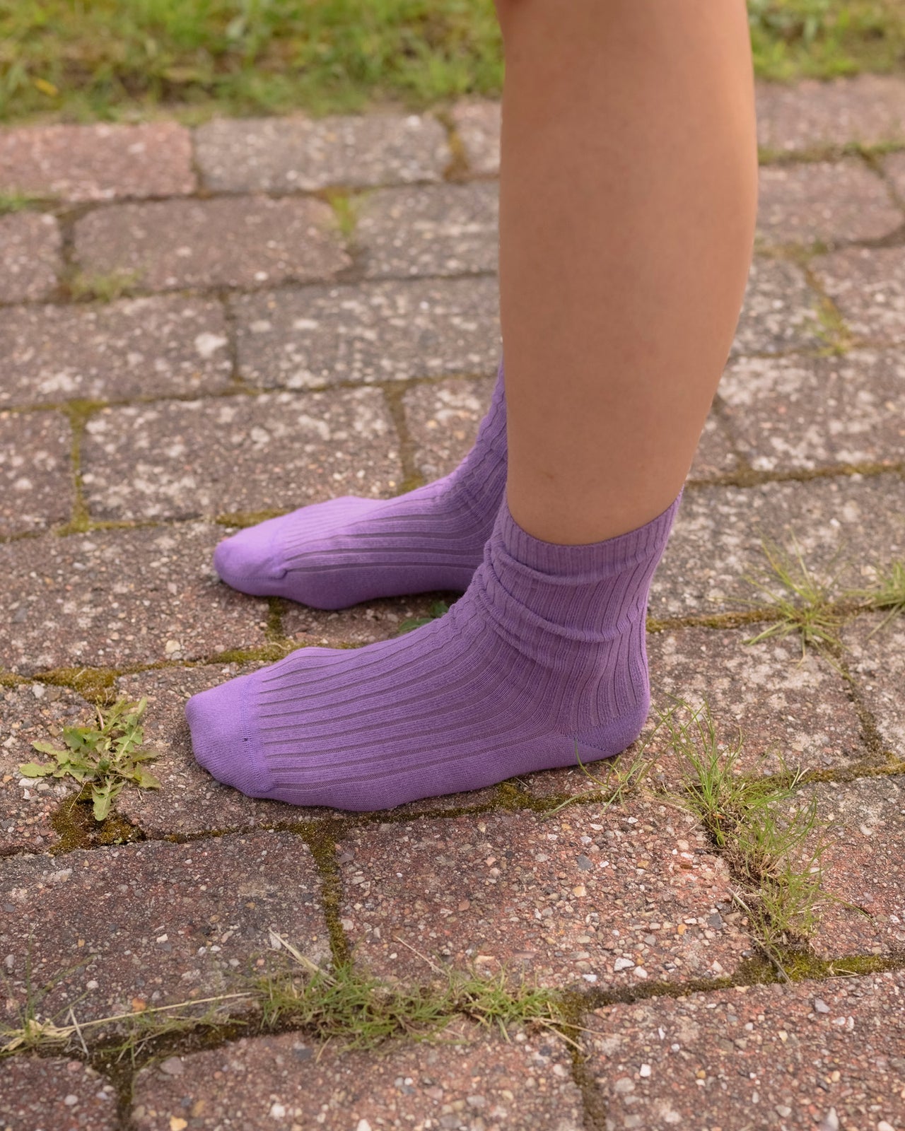 Rib Overankle Socks - Organic Cotton - Poa Purple