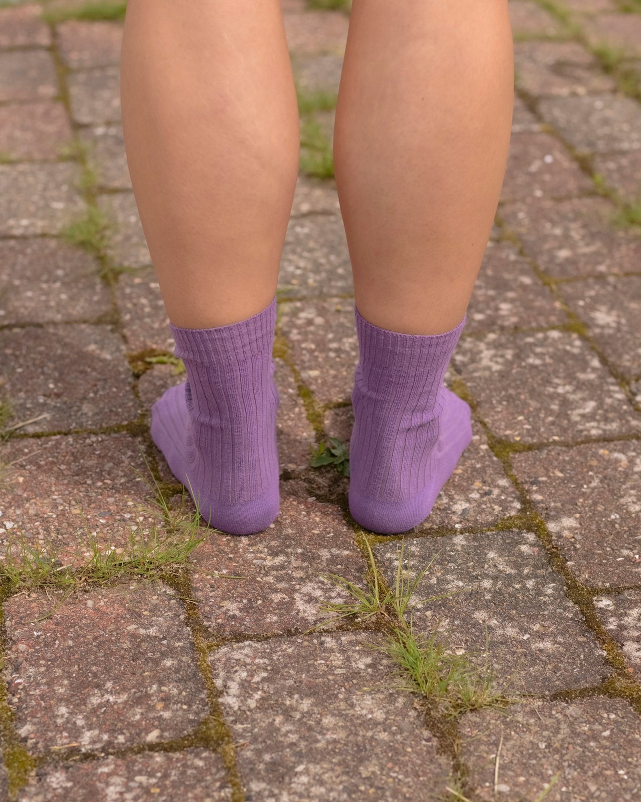 Rib Overankle Socks - Organic Cotton - Poa Purple
