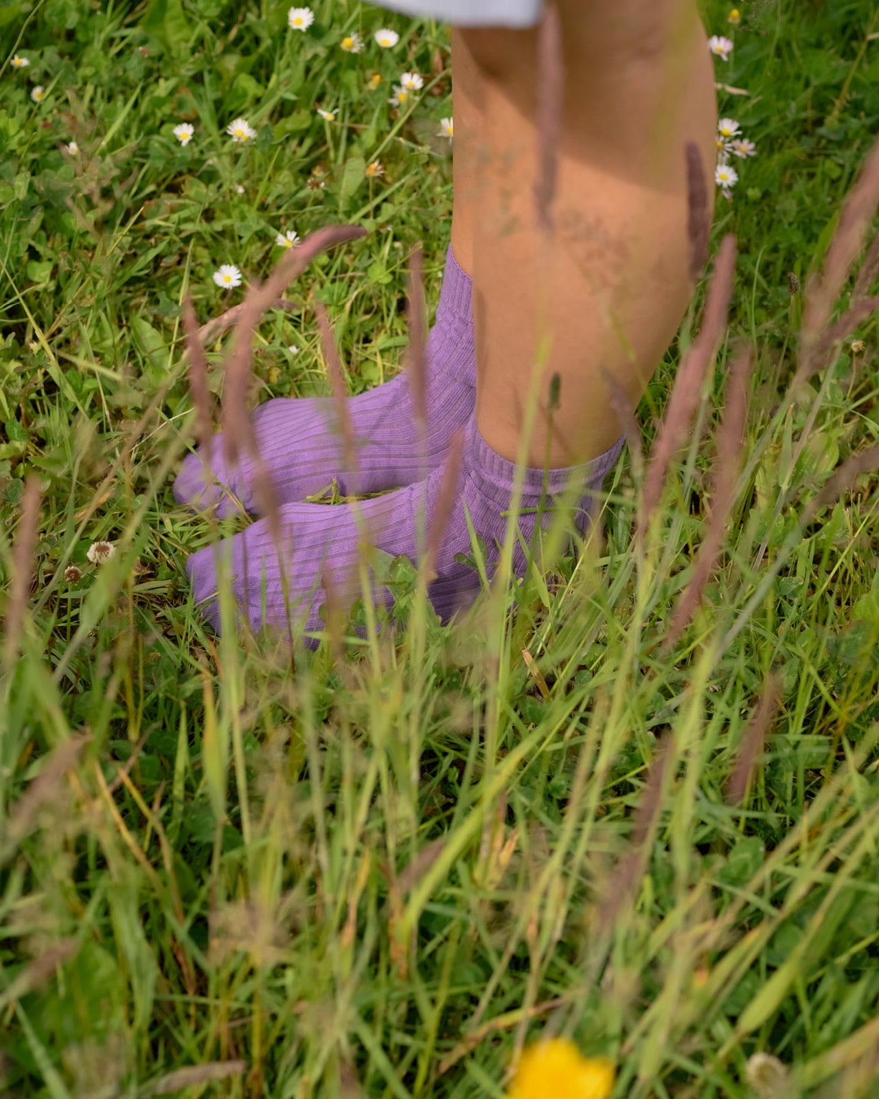 Rib Overankle Socks - Organic Cotton - Poa Purple