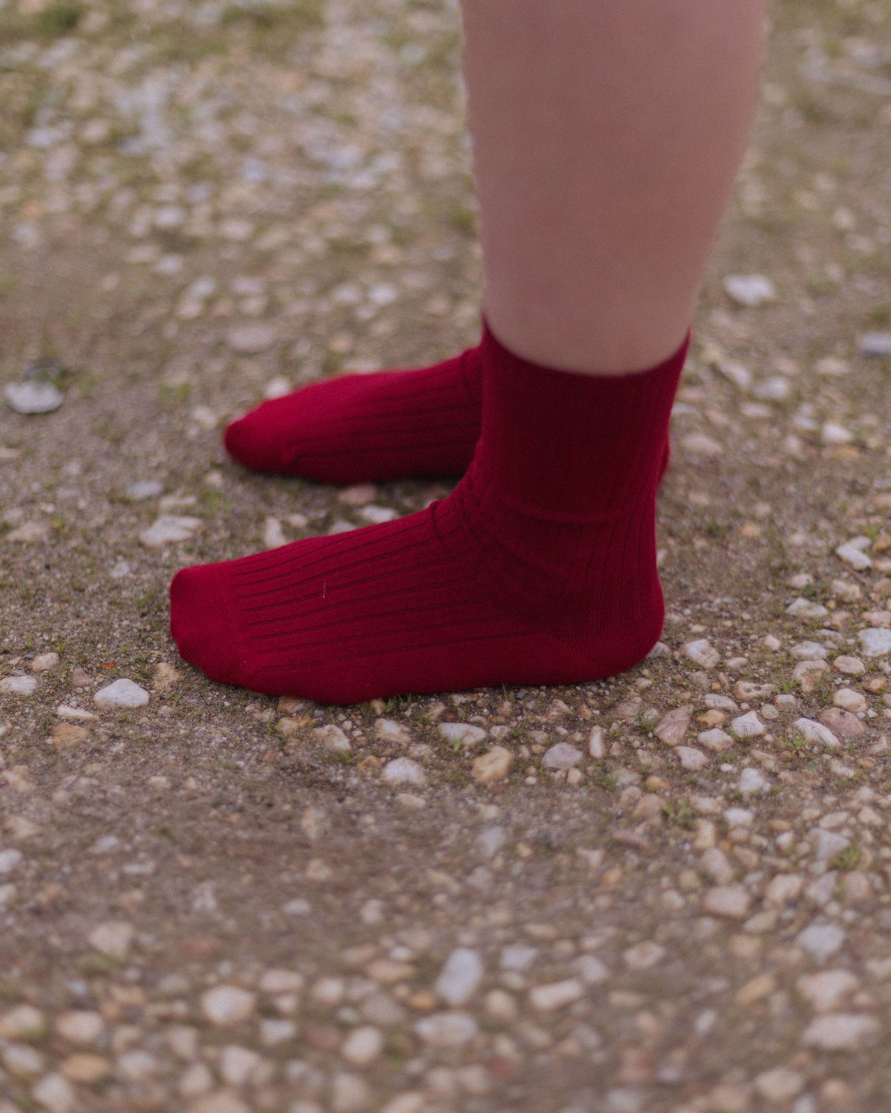 Rib Overankle Socks - Organic Cotton Rib - Pair Red