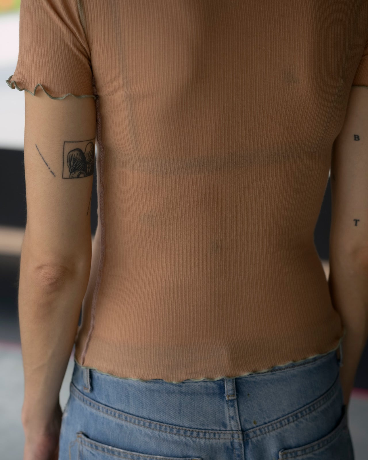 Vein Tee Shirt - Fine Organic Cotton Rib - Aural (Purple/Green)