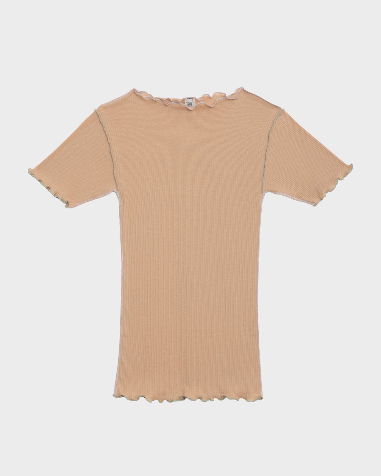 Vein Tee Shirt - Fine Organic Cotton Rib - Aural (Purple/Green)