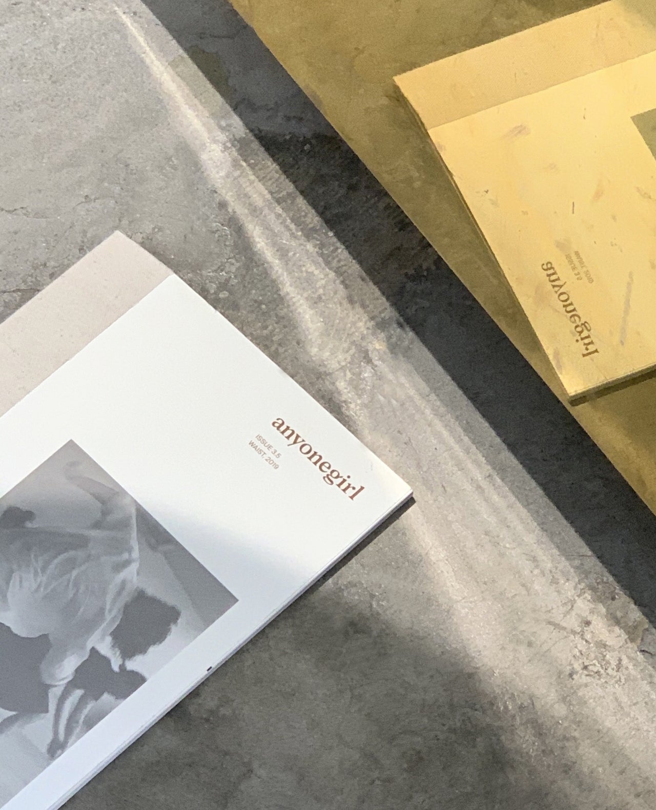 Anyonegirl - Waist Journal - Issue 3.5