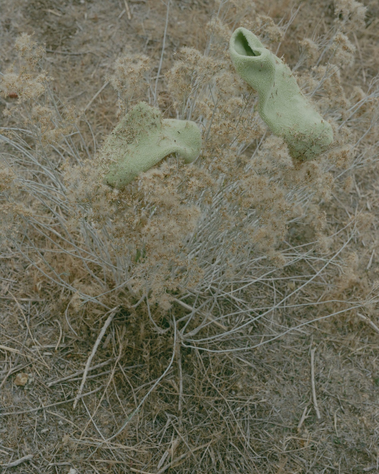 Buckle Ankle Socks - Longstaple Cotton - Bar Green - AU22