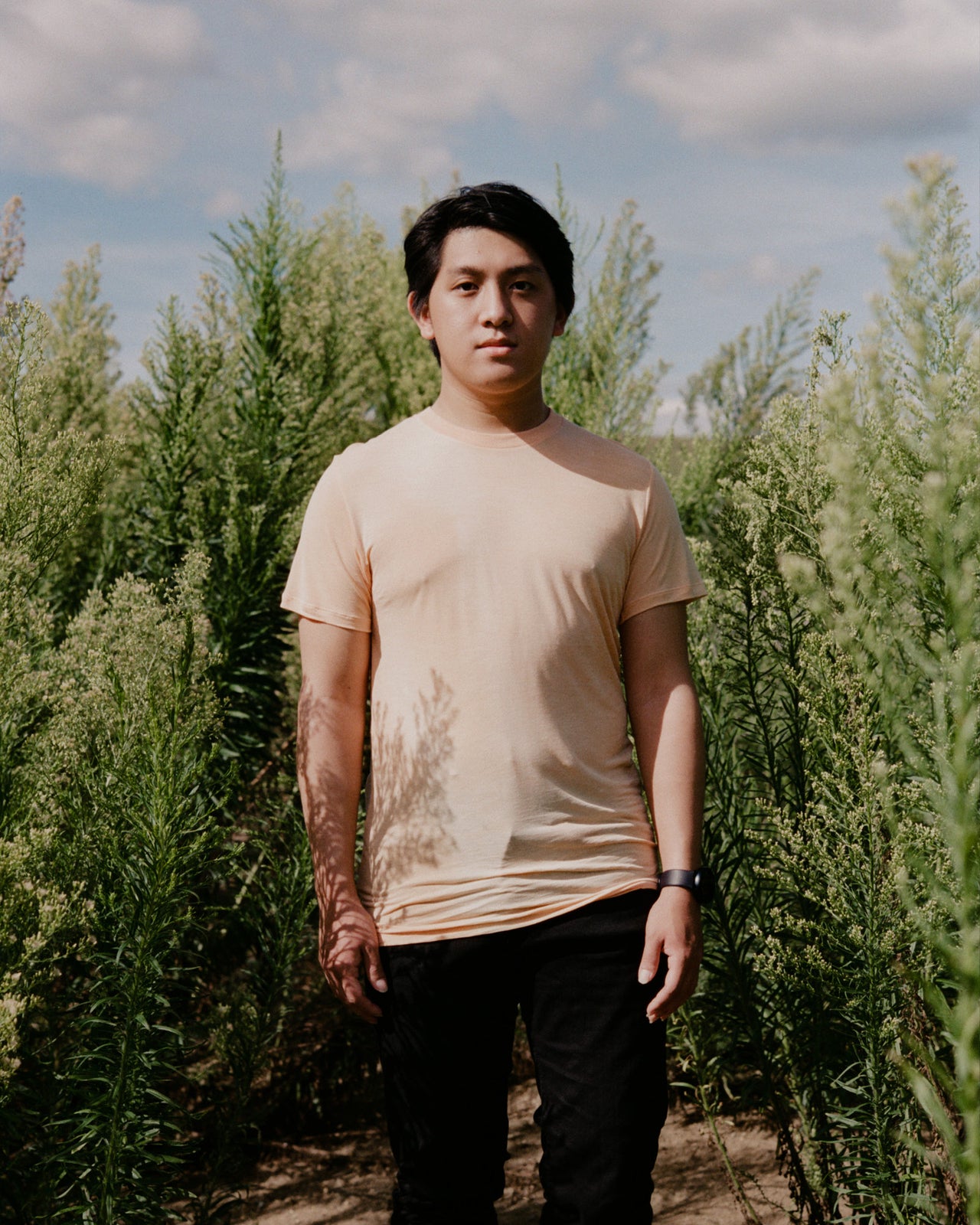 Tee Shirt - Bamboo Lyocell - Daf Yellow - SU23