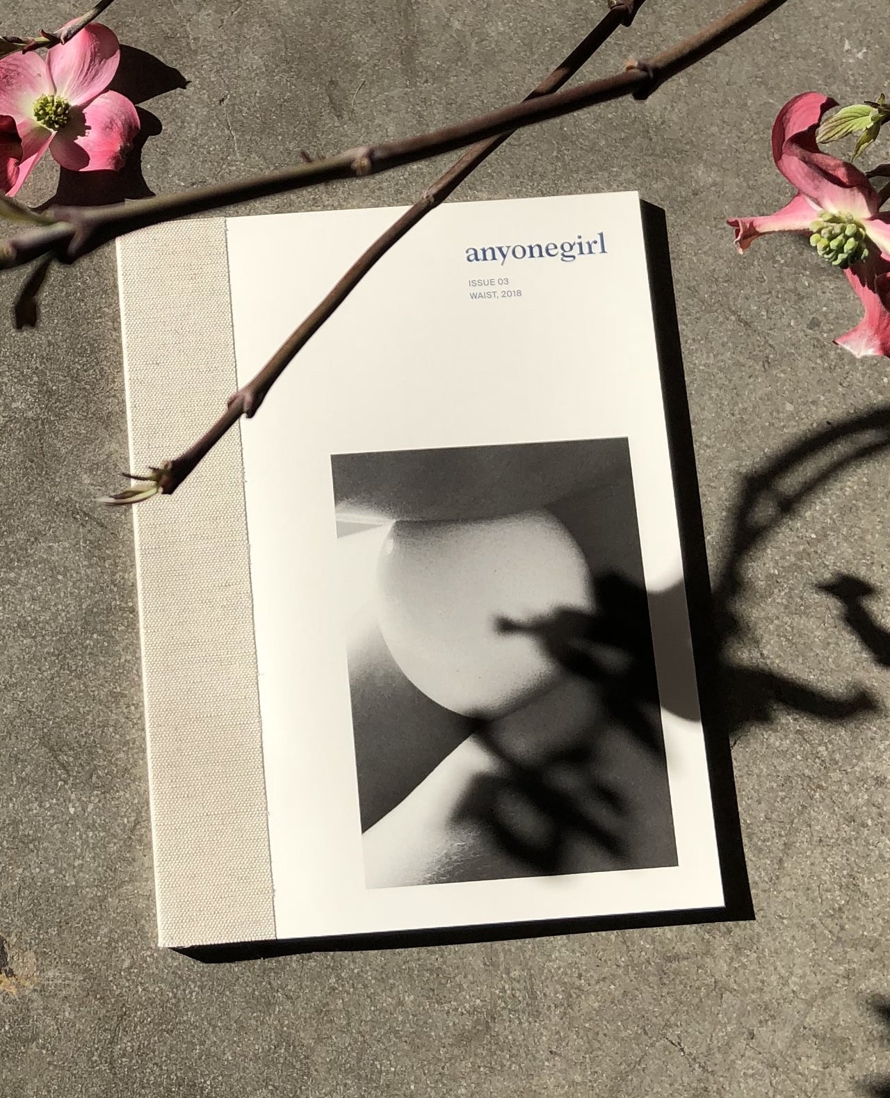 Anyonegirl - WAIST Journal - Issue 3